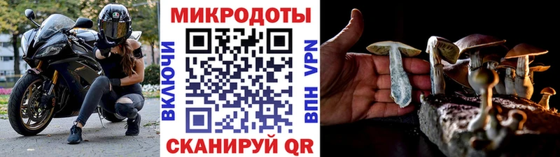 где купить   Чусовой  Псилоцибиновые грибы ЛСД 